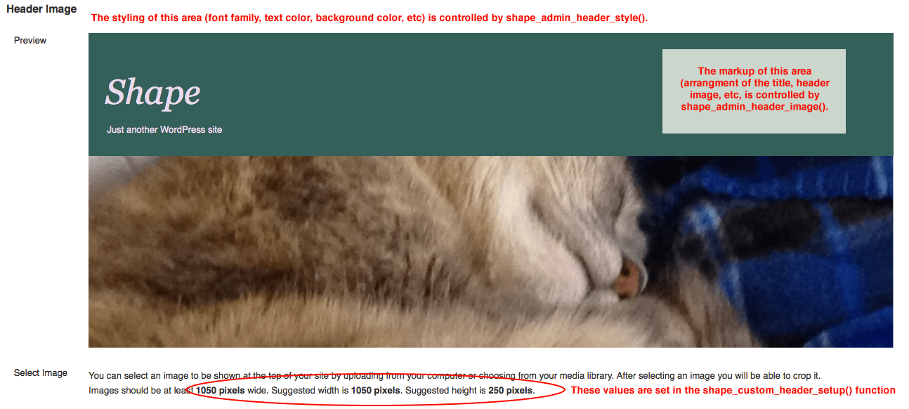 Header Administration Preview