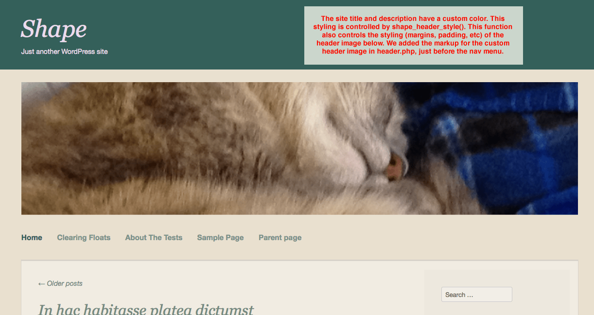 Custom Header Front-End
