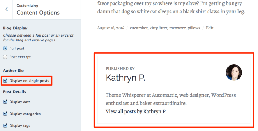 Author Bio displayed on single post in Shoreditch