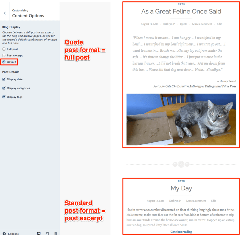 Default blog display option in Button