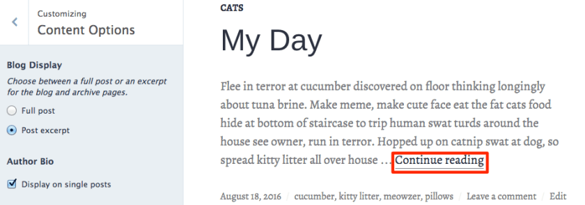 Post excerpt blog display option in Shoreditch