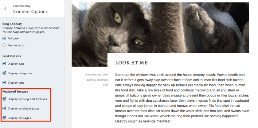 Featured Images displayed in Sela