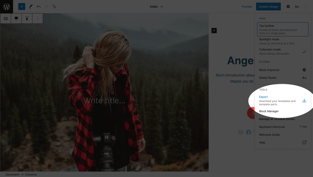 The "Export" option in the Gutenberg Plugin.